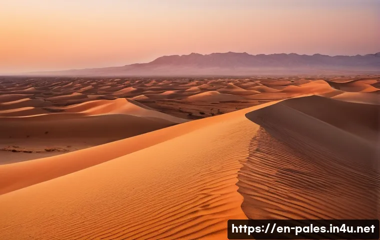 팔레스타인의 주요 사막 관광 - A panoramic view of Palestine’s desert at sunset, featuring endless golden sand dunes gently shaped ...